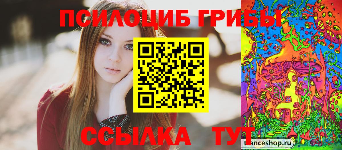 Галлюциногенные грибы Cubensis  Вход с VPN  Орск  Галлюциногенные грибы Psilocybe 