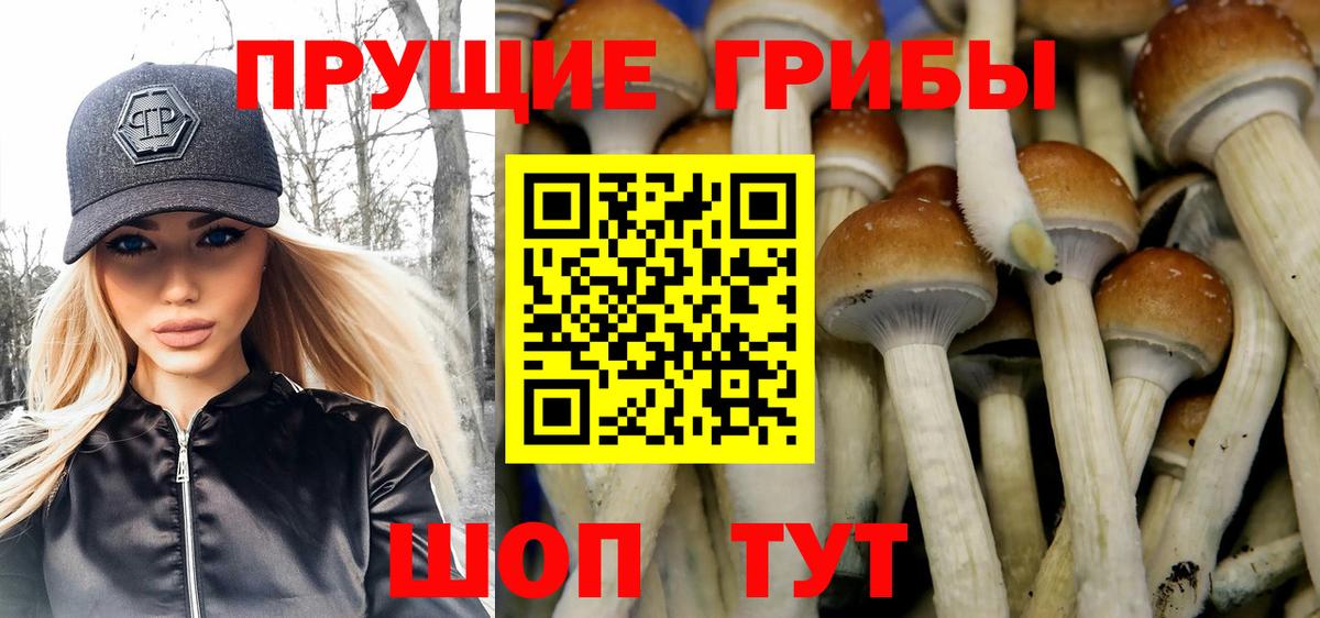 Псилоцибиновые грибы GOLDEN TEACHER Орск